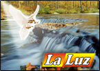imagen1.jpg